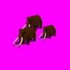 animationm1_RAg.gif