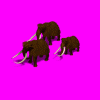 animationm4_8e2.gif