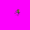 lizard_9S4.gif