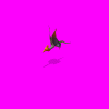 pterosaur_AEt.gif
