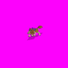 fantasywolf1_v8r.gif