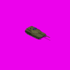 blackeaglegreen_59w.gif