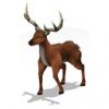deerbuckbrown_lg_U0C.jpg