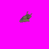 bsgraptormrv_505.gif