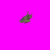 bsgraptormrv_c_F30.gif