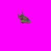 bsgraptormrv_sp_gmx.gif