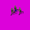 woodland_hmg_fVH.gif