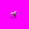 femaleangel_rBb.gif