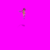 xianghua_X6J.gif