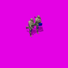 multicam_240_Y1N.gif