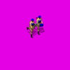 arab_240_lV2.gif