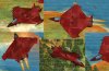 big_pic_XS8.jpg