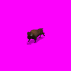 americanbisondb_x4X.gif