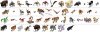 animals_v88.jpg