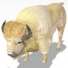 bisonwhite_lg_4CM.jpg