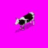 cow_W0F.gif