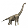 brachi_128_CWt.png