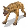 hyena_lg_J5h.jpg