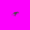 seal_Ij8.gif