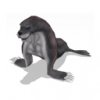 seal_lg_3Hd.jpg