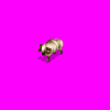 hornedsheepram_1eb.gif