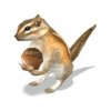 squirrel_lg_1bo.jpg