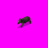 tapir_3Pn.gif