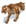 sabretoothtigernew1_sm_C3d.jpg