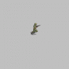 preview_8Uo.gif