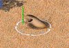 sandworm2_k5B.jpg