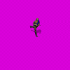 soviet_19W.gif