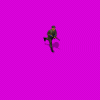 latinguerilla_Q2Q.gif
