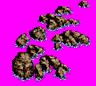 reef_b2X.gif