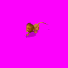 lion_l8b.gif
