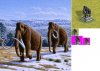 mammothpreview_Wzi.jpg
