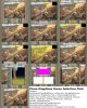 koreapreviewlarge_4XA.jpg