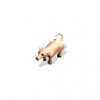 pig_lg_W3Y.jpg
