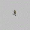 preview_dkK.gif