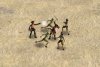 buccaneers_02_02m.jpg