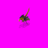dragongoldhomm3_full_80K.gif