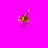 dragonhellfire_ntl.gif