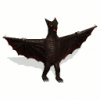 gyaos_128_1_4QF.png