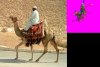 camelride.JPG