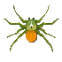 Spider_4.png