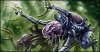 tyranid1.jpg