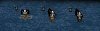 ships2_0DT.jpg