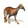 macrau_128_2ay.png