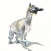 wooly_128_60i.png