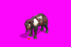 re_7Ch.gif