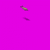 bulgarian_paratrooper_nh1.gif